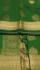 PL BIG BUTTA SAREE